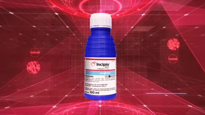 Incipio